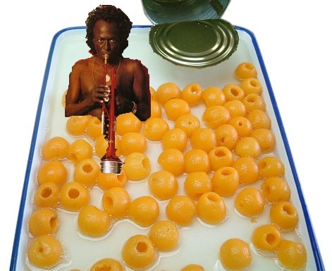 An image of a large number of canned loquats emptied into a shallow, white tray with a blue rim. At the top-right, the can and its lid are visible. At the top left is, Miles Davis, his trumpet held to his lips. He is visible, and bare, to his waist; below that, he seems to disappear into the loquats and the juice or syrup they were canned in, although it can only be millimetres deep. The image editing is crude: Miles is roughly cut out, and despite the creator's efforts, he is visible in front of loquats he ought to be behind. Miles looks directly into the camera. He wears a watch, but does not have a calculator.